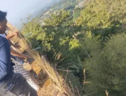 Cemburu Buta Berujung Maut: Istri Tega Potong Kemaluan Suami di Jakarta Barat, Ini Kronologinya!