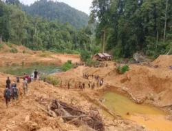 Detik-detik Mencekam! Tambang Emas Venezuela Longsor, 14 Nyawa Melayang, Menguak Bahaya Tersembunyi