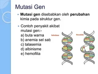 diabetes tipe 5 bukan gara gara makanan ini penjelasan lengkapnya portal berita terbaru