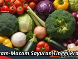 Diet Anti Gagal! 9 Sayuran Tinggi Protein Ini Bikin Perut Kenyang Lebih Lama