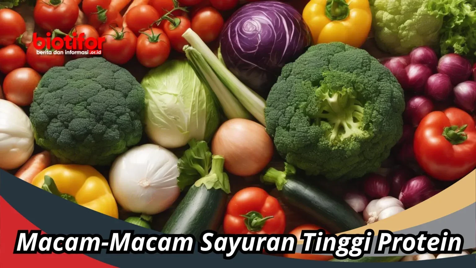 diet anti gagal 9 sayuran tinggi protein ini bikin perut kenyang lebih lama portal berita terbaru