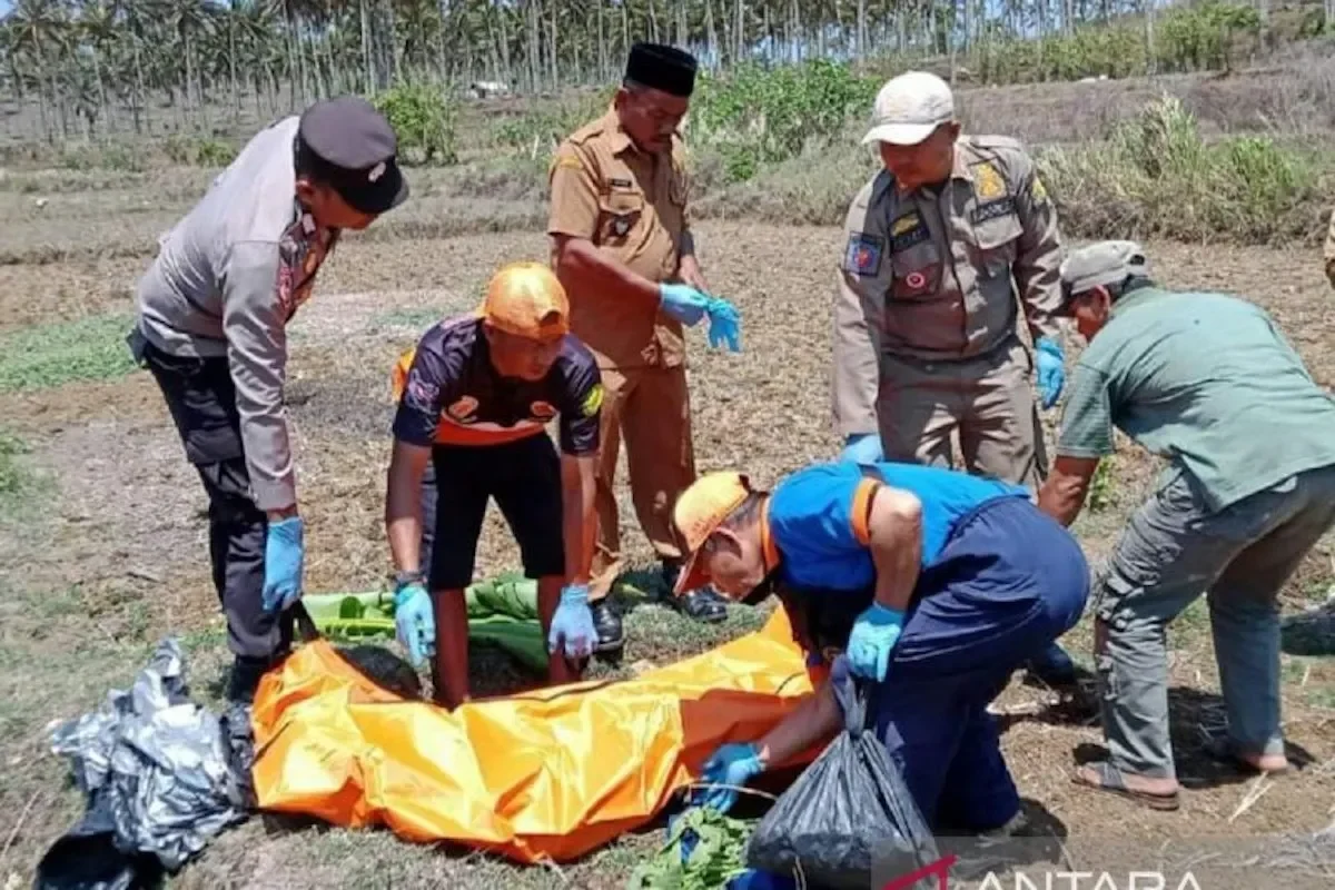 dikira boneka jasad pria membusuk gegerkan warga kali bkt cilincing portal berita terbaru