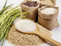 Fakta Mengejutkan: Nasi yang Kamu Makan Mengandung Arsenik? Jangan Panik, Ini Cara Aman Mengolahnya!