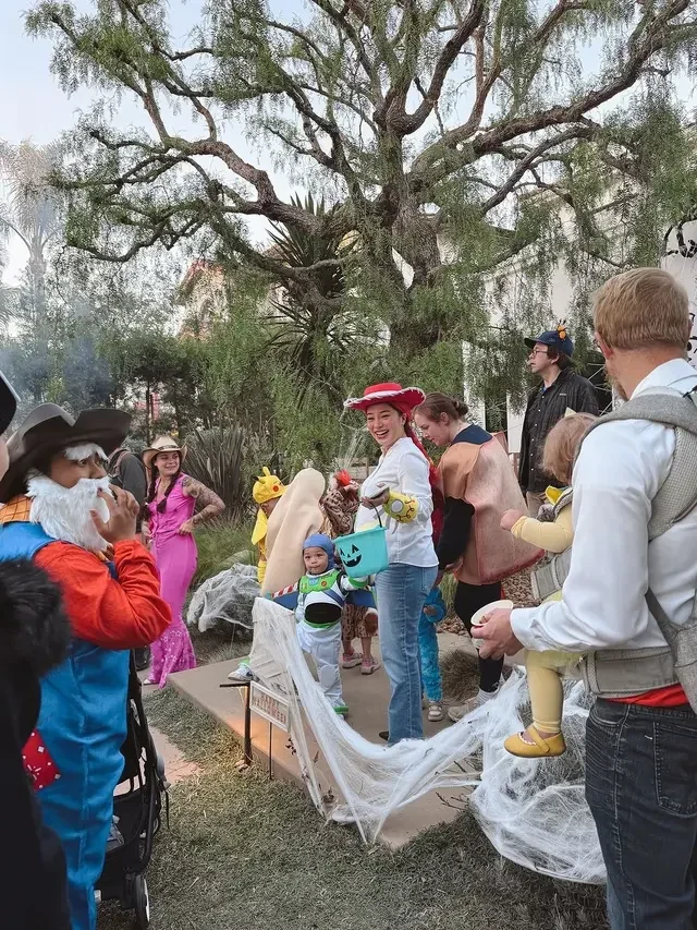 gajah di oregon zoo pesta labu raksasa 453 kg aksi gemasnya bikin melongo portal berita terbaru