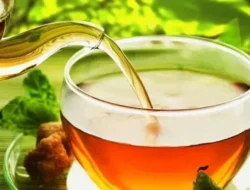 Gak Cuma Hangat, Ini 6 Manfaat Minum Teh yang Bikin Tubuhmu Sehat Maksimal!