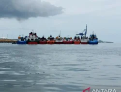 Gak Main-Main! Warga Perbatasan Sambas Bikin Produk ‘Mak Glowing’ dari Garam & Ubur-ubur, Siap Guncang Pasar Dunia!