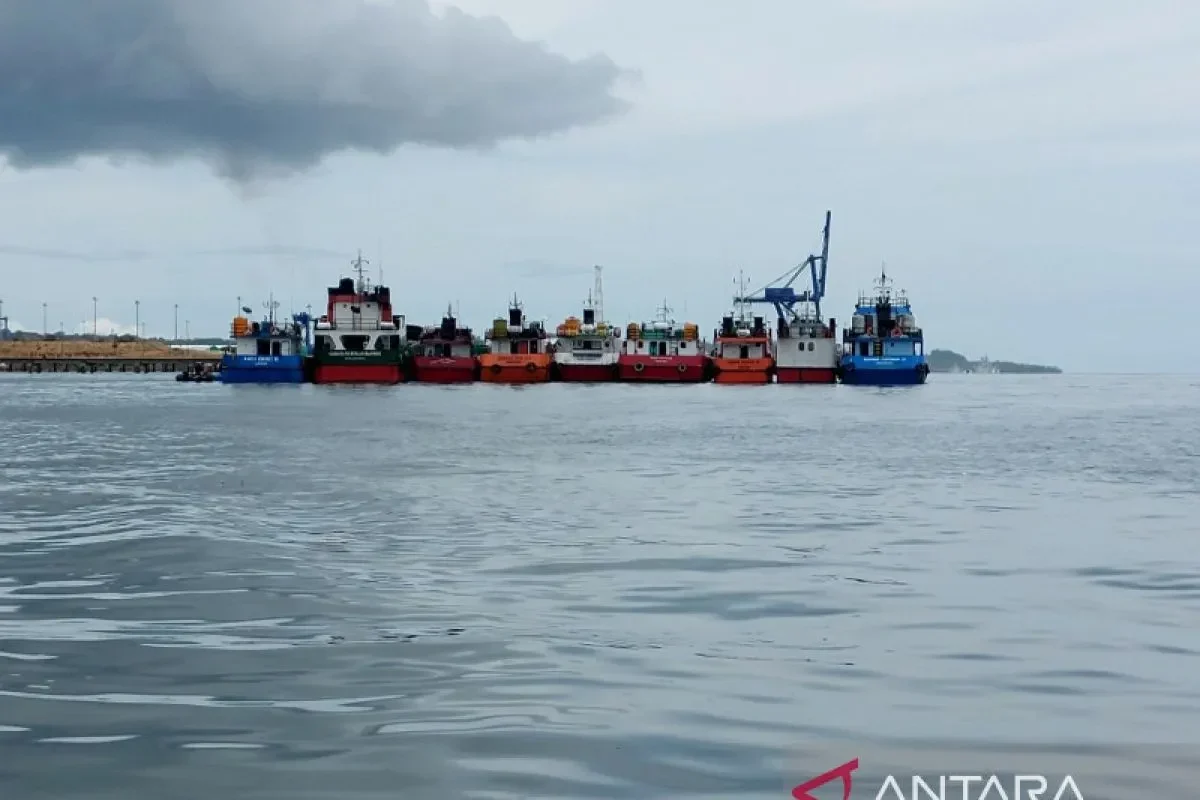 gak main main warga perbatasan sambas bikin produk mak glowing dari garam ubur ubur siap guncang pasar dunia portal berita terbaru