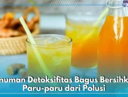 Gak Nyangka! 5 Minuman Sehari-hari Ini Ampuh Detoks Paru-Paru dari Gempuran Polusi Udara