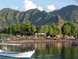 Gak Nyangka! Desa Pemuteran Bali Dinobatkan Jadi Desa Wisata Terbaik Dunia 2025 oleh PBB, Ini Rahasianya!