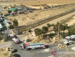 Gaza Damai, Italia Bergerak: Pasukan Perdamaian Siap Diterjunkan, Apa Artinya Bagi Kawasan?