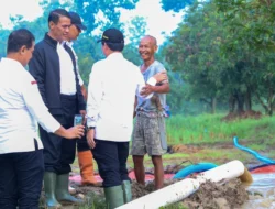 Gebrak Pedesaan! Mentan Amran & Budiman Sudjatmiko Janjikan Rp113 Triliun untuk Petani