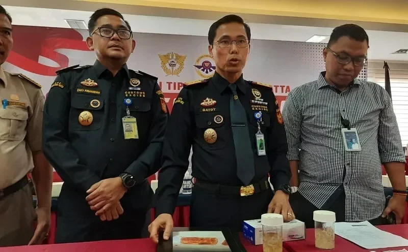 geger bandara soetta benih lobster rp5 miliar nyaris lolos ke singapura ini modus licik para penyelundupnya portal berita terbaru