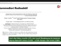 Geger Cikande: BRIN Ungkap Sumber Radioaktif Cesium-137 ‘Pasif’, Warga Perlu Tahu Ini!