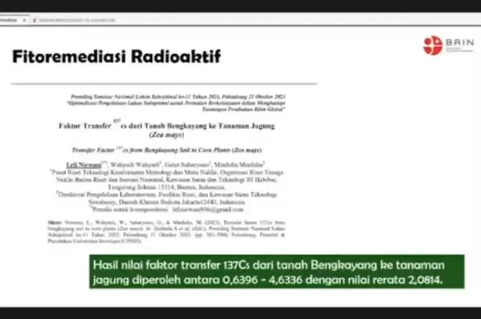 geger cikande brin ungkap sumber radioaktif cesium 137 pasif warga perlu tahu ini portal berita terbaru