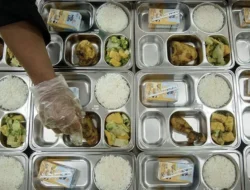 Geger! Demi Kesehatan Anak Bangsa, BGN Wajibkan Air Galon untuk Program Makan Bergizi Gratis: Ini Alasannya!