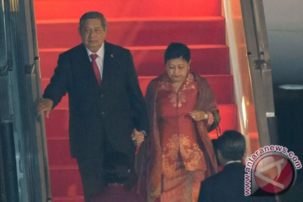 geger donald trump terima penghargaan tertinggi korea selatan apa makna di balik gelar penengah perdamaian portal berita terbaru