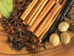 Geger! Ekspor Udang & Rempah Indonesia ke AS Kena Sanksi Ketat FDA, Ada Apa dengan Radioaktif?