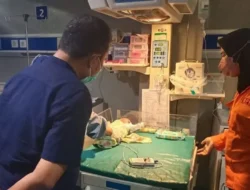 Geger Jakarta! Dari Ibu Buang Bayi Hingga Hacker Bjorka Ditangkap, Ini Deretan Kasus Kriminal Terpanas