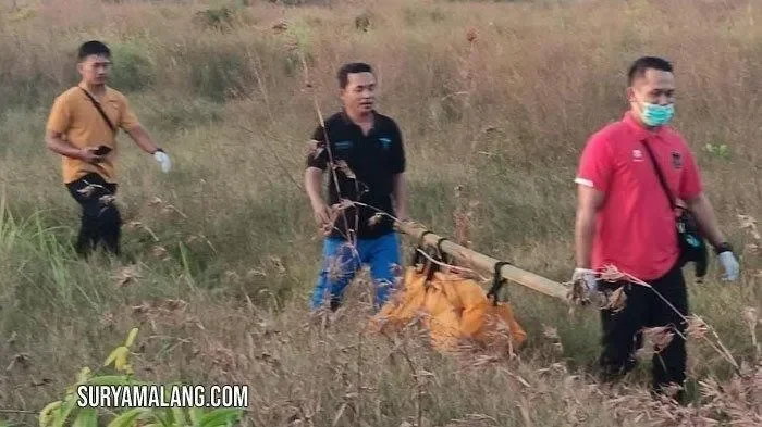 Geger Jakarta! Misteri Dua Kerangka Manusia Hangus di Gedung Terbakar Kwitang Terkuak 1 geger jakarta misteri dua kerangka manusia hangus di gedung terbakar kwitang terkuak portal berita terbaru