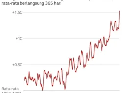 Geger! Nyamuk Tiba-Tiba Muncul di Islandia, Pertanda ‘Negeri Es’ Tak Lagi Sama?