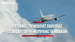 Geger! Penerbangan United Airlines Putar Balik ke AS Gara-gara Laptop Hilang 2 geger penerbangan united airlines putar balik ke as gara gara laptop hilang portal berita terbaru