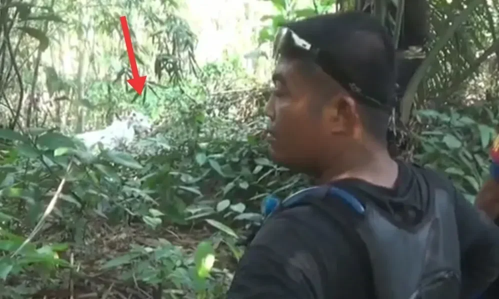 Warga Uganda menunggu di hutan, menanti kedatangan Yesus Kristus sesuai ramalan.