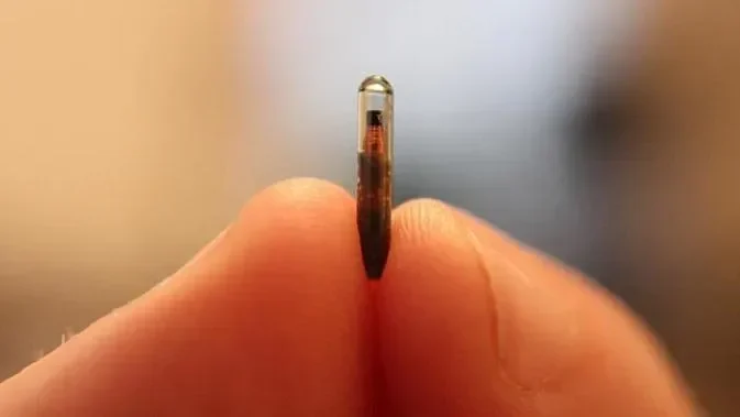 geger swedia ribuan warganya tanam chip di tubuh ini fungsinya yang bikin melongo portal berita terbaru