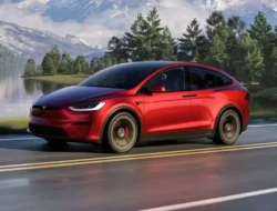 Geger! Tesla Pangkas Harga Model Y dan Model 3, Strategi Balik Keadaan di Tengah Gempuran Pesaing?