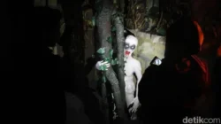 Hantu Itu Nyata atau Cuma Khayalan? Sains Ungkap Fakta Mengejutkan Ini! 3 hantu itu nyata atau cuma khayalan sains ungkap fakta mengejutkan ini portal berita terbaru