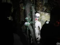 Hantu Itu Nyata atau Cuma Khayalan? Sains Ungkap Fakta Mengejutkan Ini!