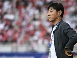 Hanya 65 Hari! Shin Tae Yong Dipecat Ulsan Hyundai, Ini Kisah Pilu di Baliknya