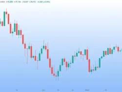 Harga Minyak Dunia Bikin Geger! Setelah Anjlok 3 Hari, Kini Bangkit Lagi, Ada Apa Sebenarnya?