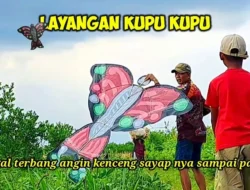 Heboh! Kupu-Kupu Monarch Patah Sayap Ini ‘Diselamatkan’ Lewat Operasi Unik, Kisahnya Bikin Dunia Terharu!