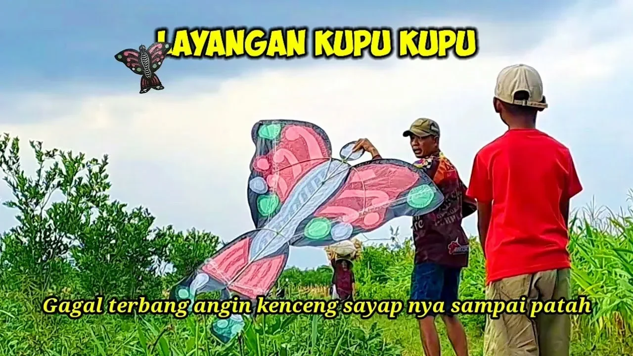 heboh kupu kupu monarch patah sayap ini diselamatkan lewat operasi unik kisahnya bikin dunia terharu portal berita terbaru