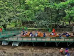 Hutan Kota Babakan Siliwangi Bandung Ditutup 90 Hari: Siap-siap Kaget dengan Wajah Barunya!