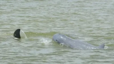 IKN Jadi 'Kota Hantu'? Media Inggris The Guardian Bongkar Fakta Mengejutkan di Era Prabowo! 10 ikn jadi kota hantu media inggris the guardian bongkar fakta mengejutkan di era prabowo portal berita terbaru