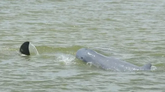 IKN Jadi 'Kota Hantu'? Media Inggris The Guardian Bongkar Fakta Mengejutkan di Era Prabowo! 1 ikn jadi kota hantu media inggris the guardian bongkar fakta mengejutkan di era prabowo portal berita terbaru