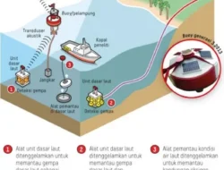 Indonesia Bernapas Lega! Sistem Deteksi Tsunami Sukses Respons Gempa Laut Filipina 7,4 M, Ini Buktinya