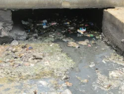 Jangan Asal Buang! Oli Bekas Motor Kamu Itu Limbah Beracun, Ini Cara Aman dan Legal Membuangnya!