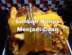 Jangan Dibuang! Kulit Nanas Bisa Jadi Minuman Probiotik Kekinian & Sumber Cuan Menggiurkan