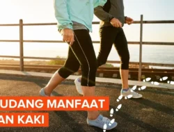 Jangan Kaget! Jalan Kaki 10 Menit Tiap Hari Kunci Jantung Sehat & Umur Panjang, Studi Buktikan!