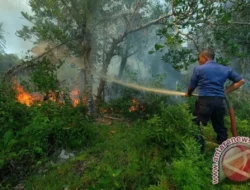 Jangan Kaget! Kemang Jakarta Dinobatkan Jadi Lingkungan Paling Keren di Dunia, Ternyata Ini Pesonanya yang Bikin Time Out Terpukau!