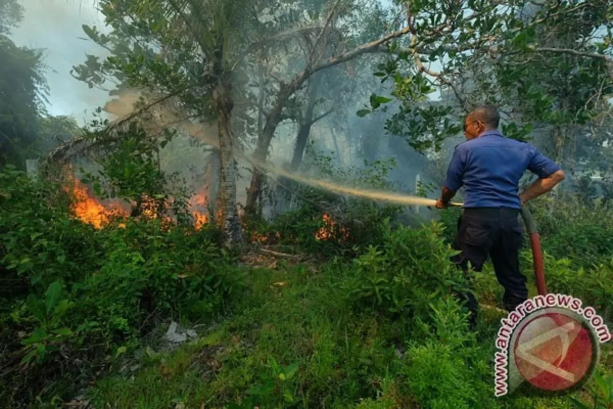 jangan kaget kemang jakarta dinobatkan jadi lingkungan paling keren di dunia ternyata ini pesonanya yang bikin time out terpukau portal berita terbaru