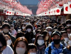 Jepang Gawat Darurat! Beruang Hitam Mengganas di Perkotaan, Warga Cemas, Militer Diminta Turun Tangan!