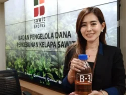 Jurus Baru Bahlil: Ekspor CPO Bakal Dipangkas Demi B50, Indonesia Bebas Impor Solar?