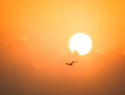 Kalteng ‘Terpanas Sepanjang Sejarah’ dengan 37,2 Derajat Celsius? BMKG Ungkap Fakta Asli!