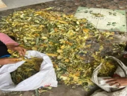 Keren Abis! Mahasiswa UNM Sulap Larva Jadi Pakan Hewan Masa Depan, Banjir Apresiasi di Ajang Nasional.