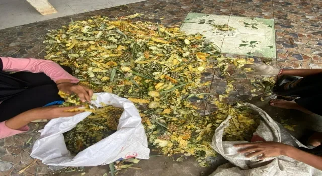 keren abis mahasiswa unm sulap larva jadi pakan hewan masa depan banjir apresiasi di ajang nasional portal berita terbaru