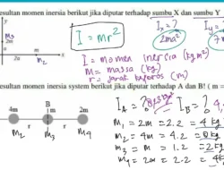 Kiburi Si Gorila Raksasa Bikin Deg-degan! Operasi Medis Langka di London Zoo.