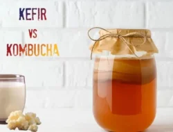 Kombucha vs. Kefir: Mana yang Lebih Jago Bikin Usus Sehatmu Auto Glowing?